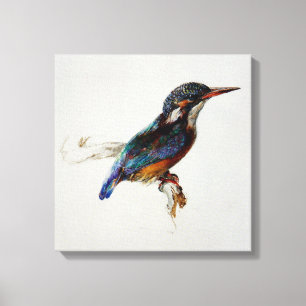 Kingfisher (van John Ruskin) Canvas Afdruk