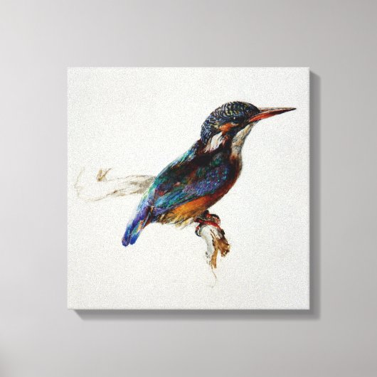 Kingfisher (van John Ruskin) Canvas Afdruk (Voorkant)