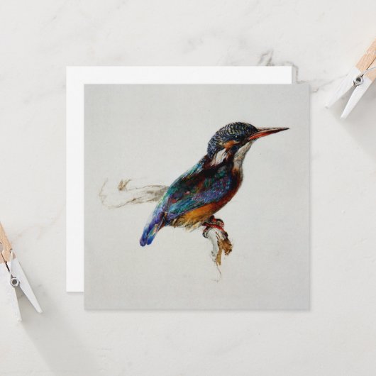 Kingfisher (van John Ruskin) Kaart (Voorkant / Achterkant in situ)