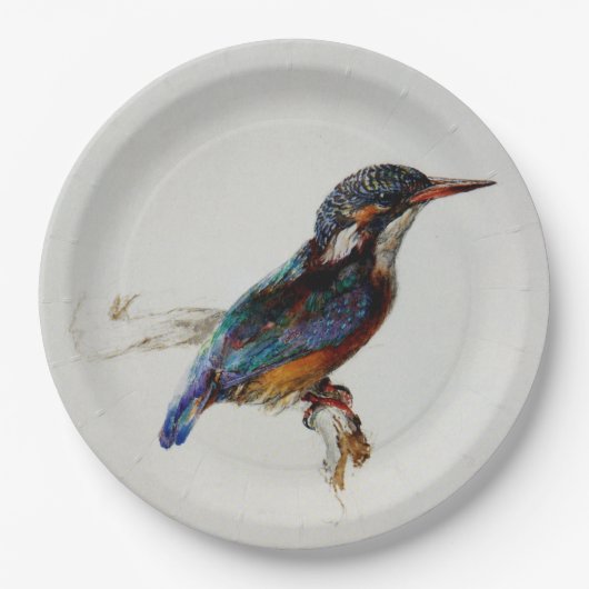 Kingfisher (van John Ruskin) Papieren Bordje (Voorkant)