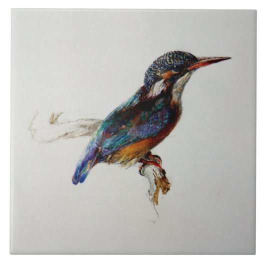 Kingfisher (van John Ruskin) Tegeltje (Voorkant)