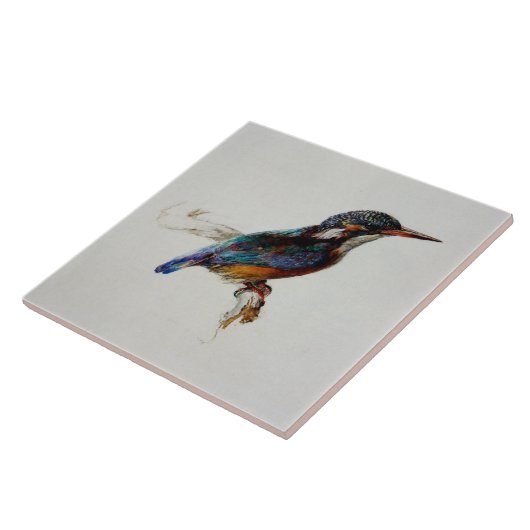 Kingfisher (van John Ruskin) Tegeltje (Zijkant)