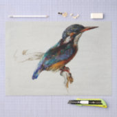 Kingfisher (van John Ruskin) Tissuepapier (Craft)