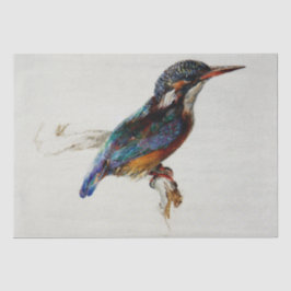 Kingfisher (van John Ruskin) Tissuepapier