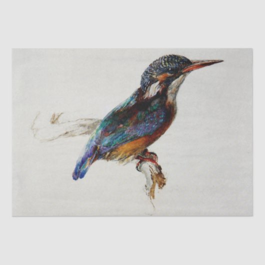 Kingfisher (van John Ruskin) Tissuepapier (Voorkant)