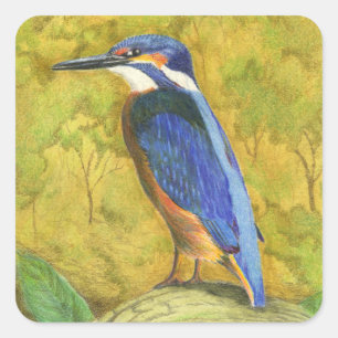 Kingfisher Vierkante Sticker