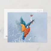 Kingfisher vliegt uit het water briefkaart (Voorkant / Achterkant)