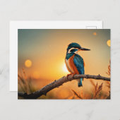 Kingfisher vogel briefkaart (Voorkant / Achterkant)