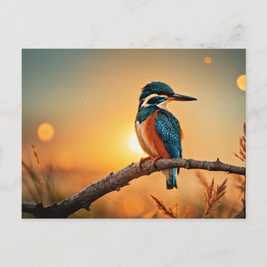 Kingfisher vogel briefkaart (Voorkant)