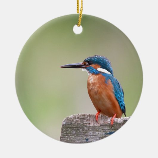 Kingfisher vogel. keramisch ornament (Voorkant)