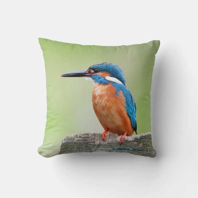 Kingfisher vogel kussen (Voorkant)
