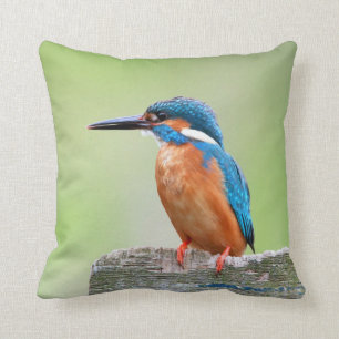 Kingfisher vogel kussen