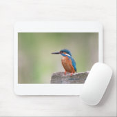 Kingfisher vogel. muismat (Met muis)