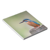 Kingfisher vogel. notitieblok (Schuin)