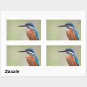 Kingfisher vogel. rechthoekige sticker (Vel)