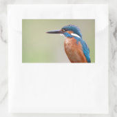 Kingfisher vogel. rechthoekige sticker (Tas)