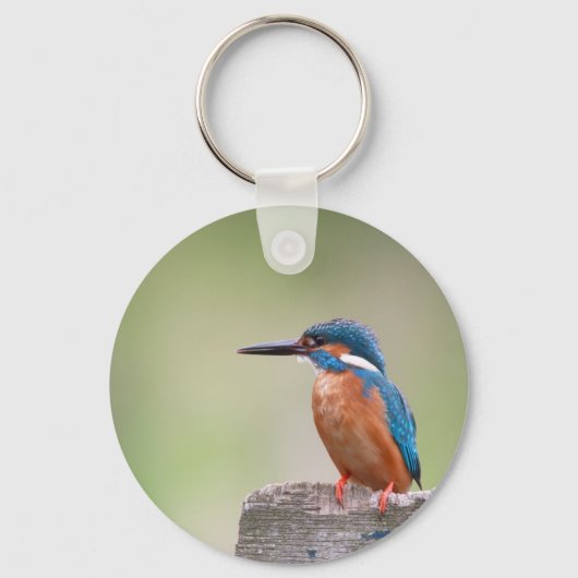Kingfisher vogel. sleutelhanger (Voorkant)