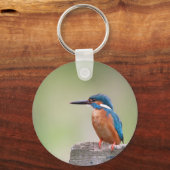 Kingfisher vogel. sleutelhanger (Voorkant)