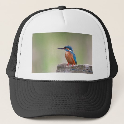 Kingfisher vogel. trucker pet (Voorkant)