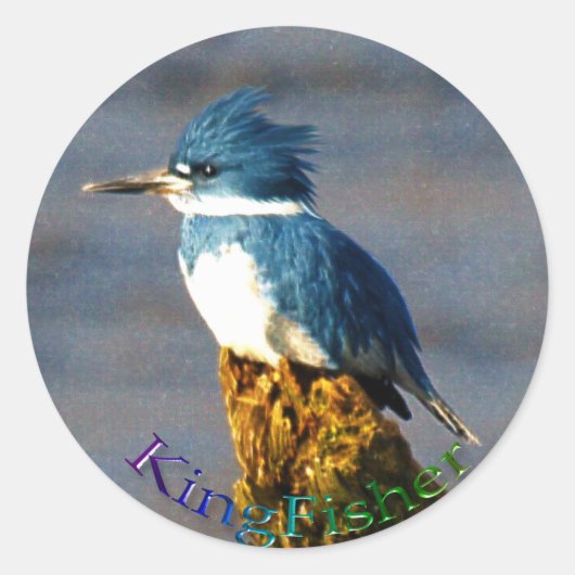 Kingfisher Vogel Wildlife Sticker (Voorkant)