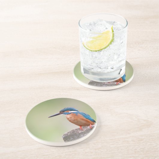 Kingfisher vogel. zandsteen onderzetter (Zijkant)