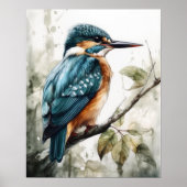 Kingfisher Vogelkunst Print Poster (Voorkant)
