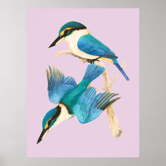 Kingfisher vogelroze Waterverf Poster (Voorkant)