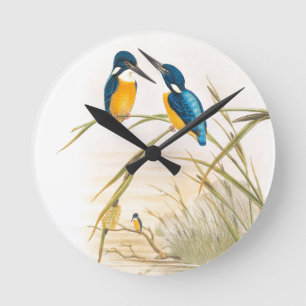 Kingfisher Vogels Wilde Dieren Pond Ronde Klok