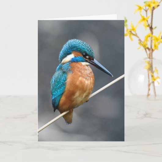 Kingfisher wacht. kaart (Gele Bloem)