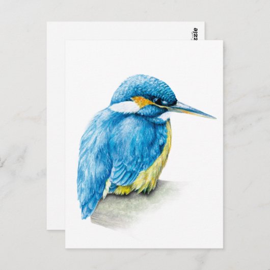 Kingfisher waterverf briefkaart (Voorkant / Achterkant)
