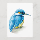Kingfisher waterverf briefkaart (Voorkant)
