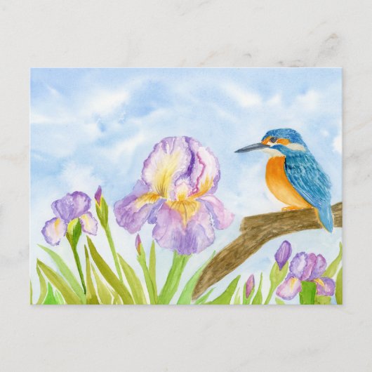  Kingfisher with Purple Irises Briefkaart (Voorkant)