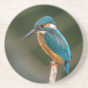 KIngfisher Zandsteen Onderzetter