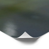 Kingfisher zat op een kleine tak perfect poster (Hoek)