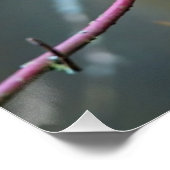 Kingfisher zittend op een tak perfect poster (Hoek)