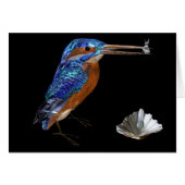 KINGFISHER, zwart (Voorkant Horizontaal)