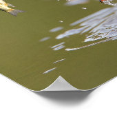 Kingfisher's succes - Vogel met verse visvangst Poster (Hoek)