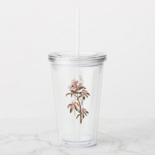 Kinglet Bird van Audubon op Roze Calico Acryl Drinkbeker
