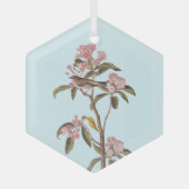 Kinglet Bird van Audubon op Roze Calico Glas Ornament (Voorkant)