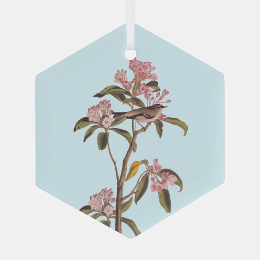 Kinglet Bird van Audubon op Roze Calico Glas Ornament (Achterkant)