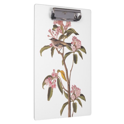 Kinglet Bird van Audubon op Roze Calico Klembord (Rechts)