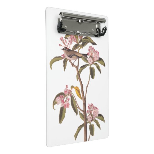 Kinglet Bird van Audubon op Roze Calico Mini Klembord (Schuin)
