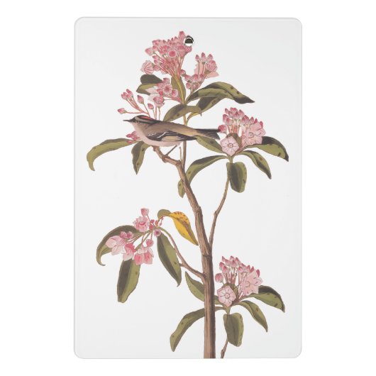 Kinglet Bird van Audubon op Roze Calico Mini Klembord (Achterkant)
