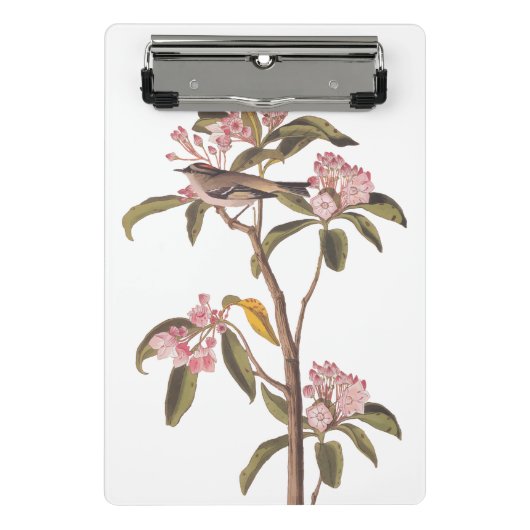 Kinglet Bird van Audubon op Roze Calico Mini Klembord (Voorkant)
