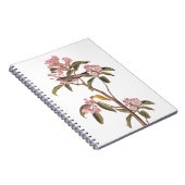 Kinglet Bird van Audubon op Roze Calico Notitieboek (Rechterzijde)