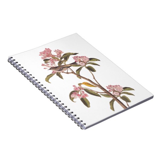 Kinglet Bird van Audubon op Roze Calico Notitieboek (Rechterzijde)