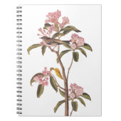 Kinglet Bird van Audubon op Roze Calico Notitieboek (Voorkant)