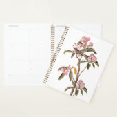 Kinglet Bird van Audubon op Roze Calico Planner (Display)