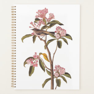 Kinglet Bird van Audubon op Roze Calico Planner