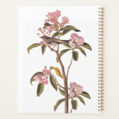 Kinglet Bird van Audubon op Roze Calico Planner (Achterkant)
